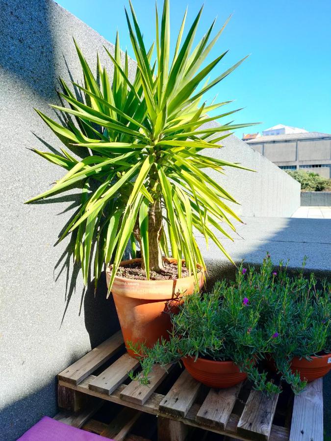 Porto Santa Catarina - Apartment With Terrace Εξωτερικό φωτογραφία